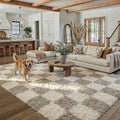 Grey Shag Area Rug 5x8 Washable
