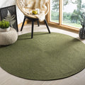 Green Washable Braided Indoor Outdoor Rug